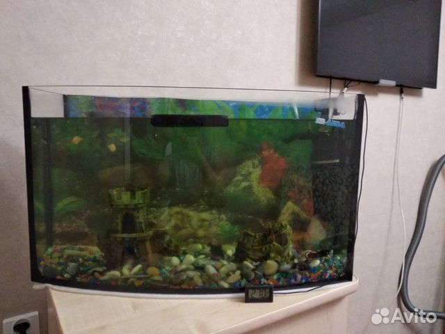 Аквариум с рыбками купить на Зозу.ру - фотография № 3