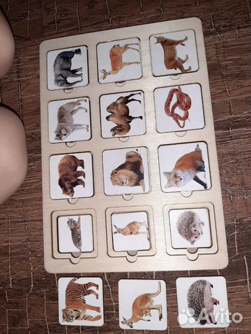 Развивающие игрушки
