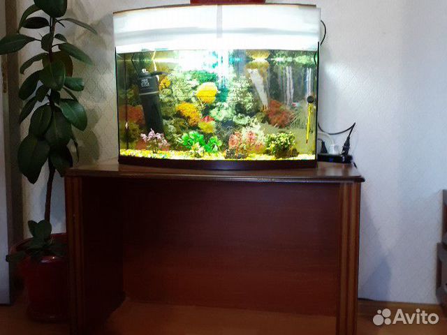 Оквариум с рыбками 100 л купить на Зозу.ру - фотография № 1