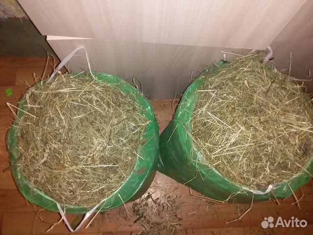 Сено-зеленое,свежее для декоративного кролика купить на Зозу.ру - фотография № 2