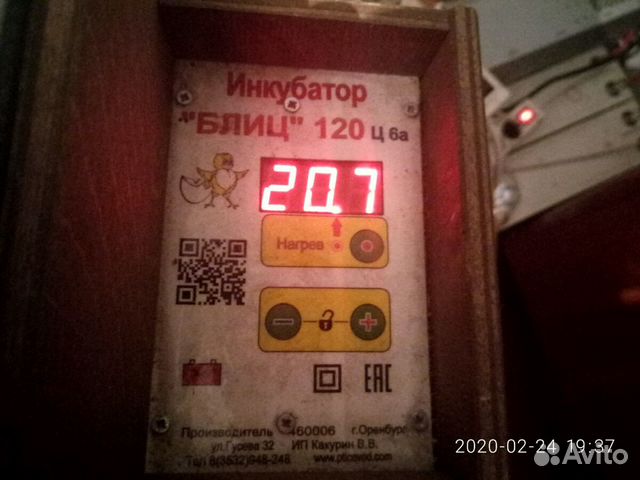 Инкубатор Блиц 120 купить на Зозу.ру - фотография № 1