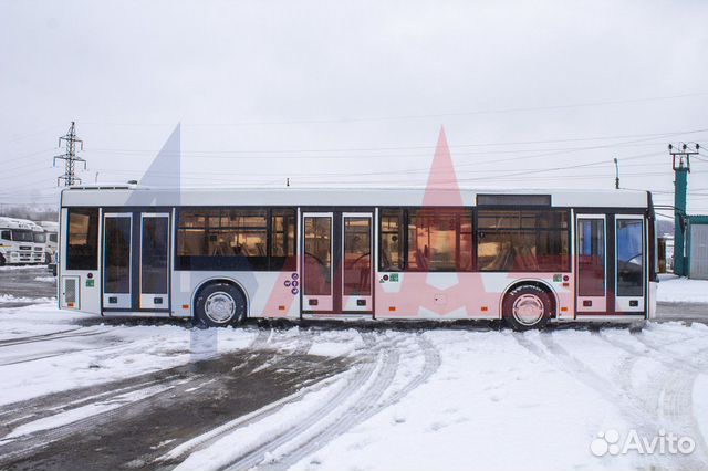 Маз 203 автобус Маз 203 автобус