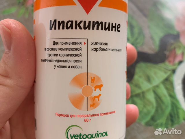 Ипакитине Ипакитине