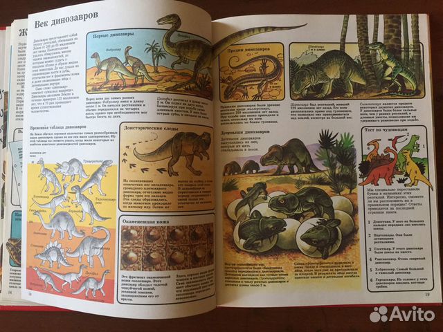 Доисторическая жизнь Доисторическая жизнь