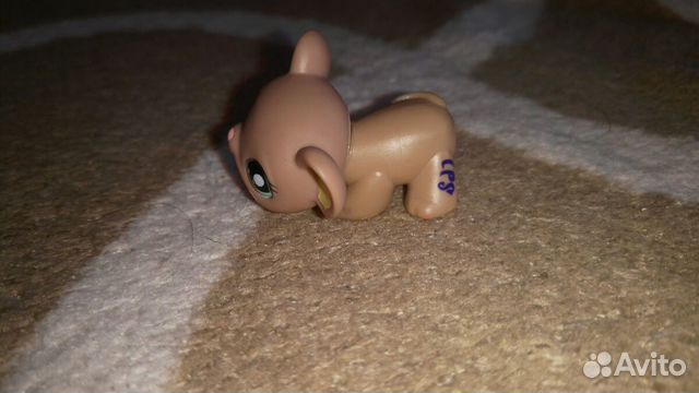 Littlest Pet Shop Littlest Pet Shop