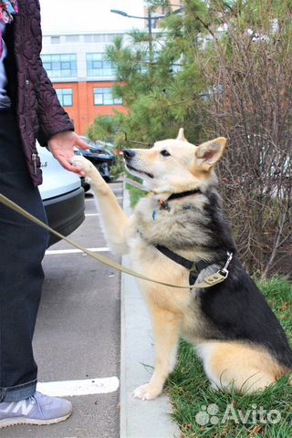 Звёздочка в дар Звёздочка в дар