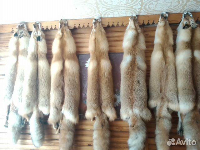 Шкуры лисы выделанная неразрезанная