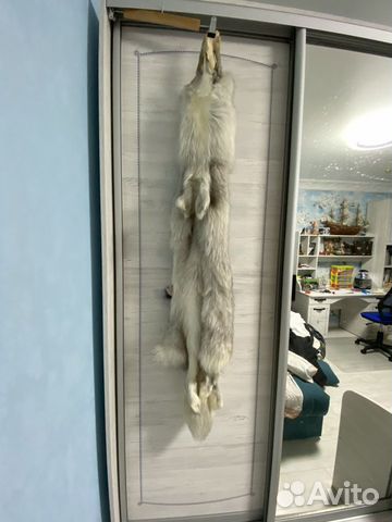 Шкура песца цельная 130 см Шкура песца цельная 130 см