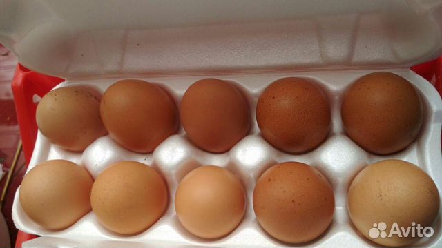 Яйца Крупно Фото