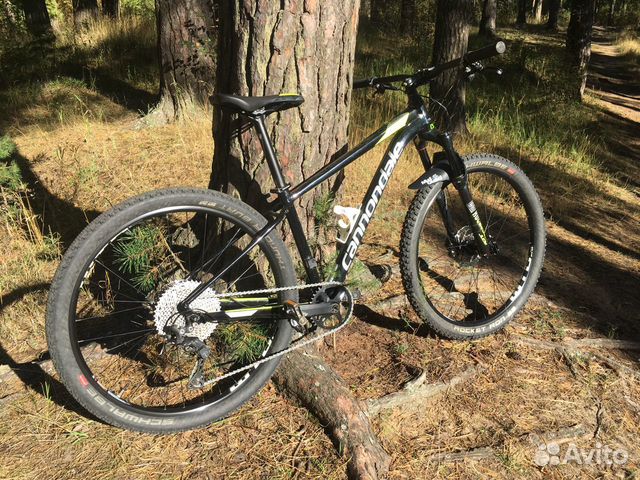 cannondale trail 2 2019