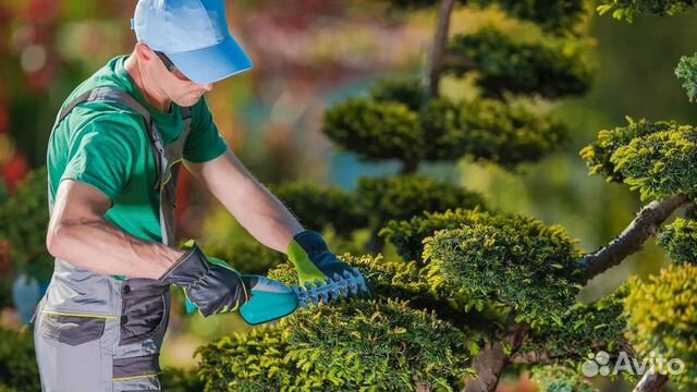 Озеленитель (парковый рабочий)