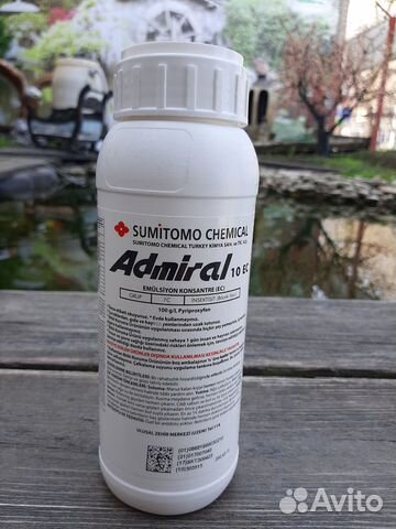 Адмирал, Ювинал Голд