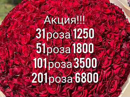 51 роза 1800, 101 роза 3500