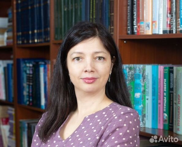 Репетитор по информатике (школа)