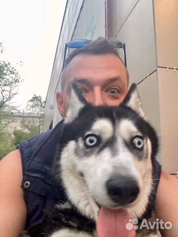 Слушатель собеседник друг на час, а ещё)