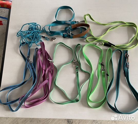 Ошейники,поводки для собак