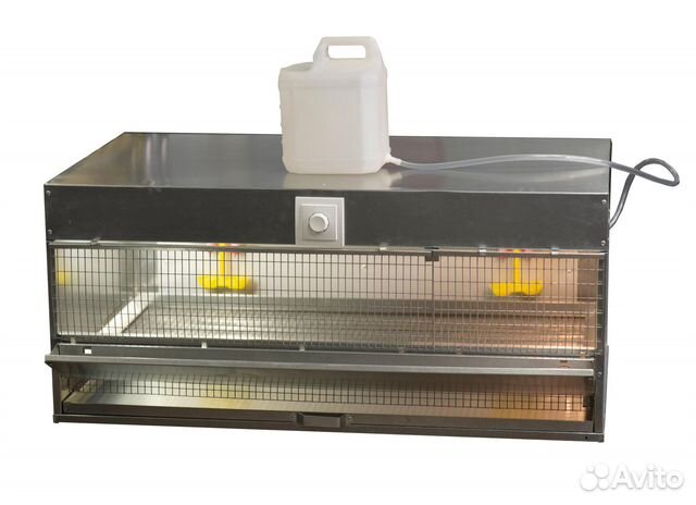 Брудер для цыплят