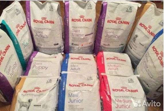 Корма для собак Royal Canin 8-20кг