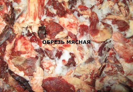 Мясо для собак в Калуге