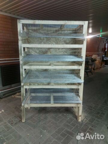 Клетка, ферма, батарея для перепелов