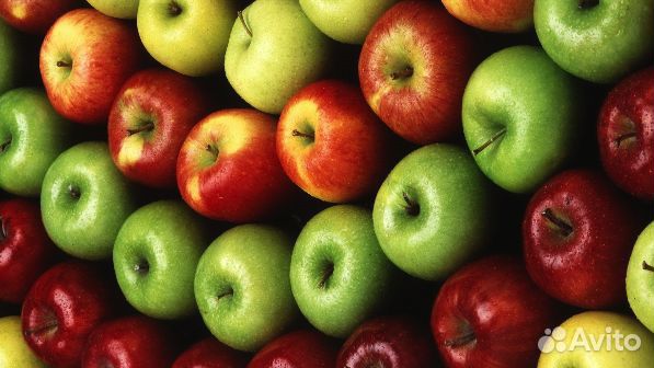 Рабочий на уборку урожая яблок Крым вахта питание