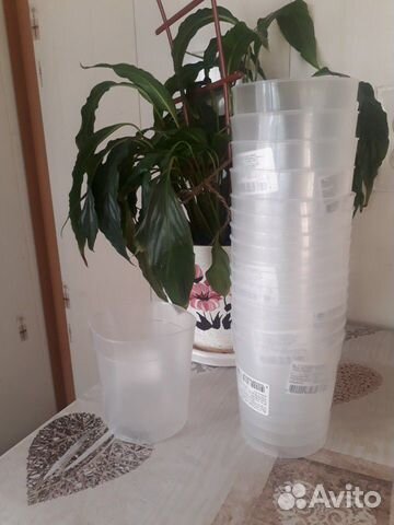 Пластиковые стаканы