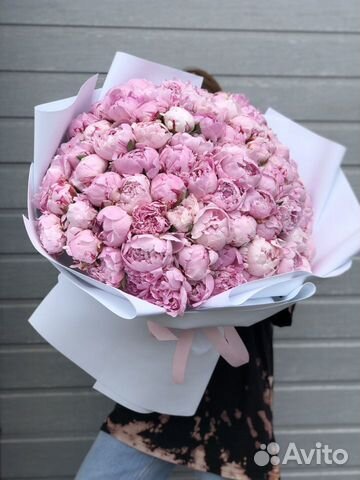 101 пион букет цветы, букет из пионов