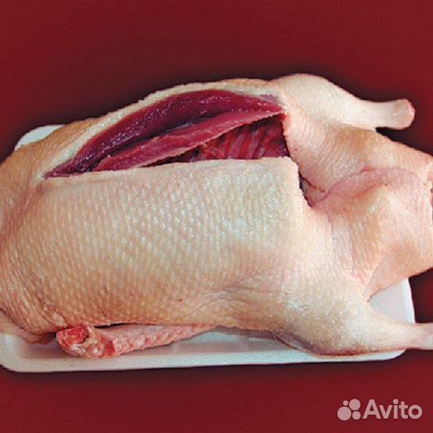 Мясо Индоутки,Утки.Индюка.Цесарки. Жир г