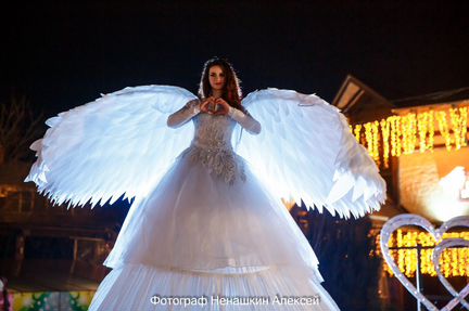 Ходулисты Краснодара (Краснодар)