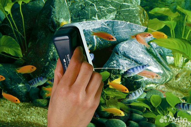 Обслуживание аквариумов