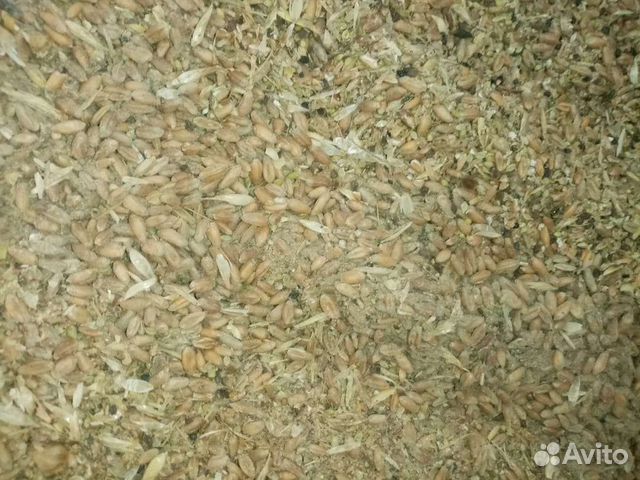 Комбикорм пшеничныей 40кг