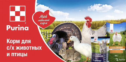 Purina комбикорм и бвмк для с/х животных и птицы