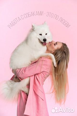 Обучение на грумера / курсы груминга