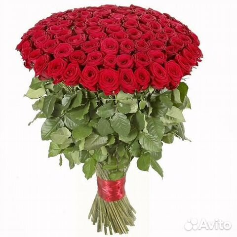 Цветы, Букет из 11/15/25/51/101 розы, доставка