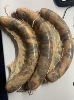 Казы конина