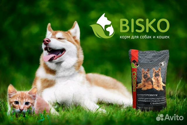Корма для собак и кошек 