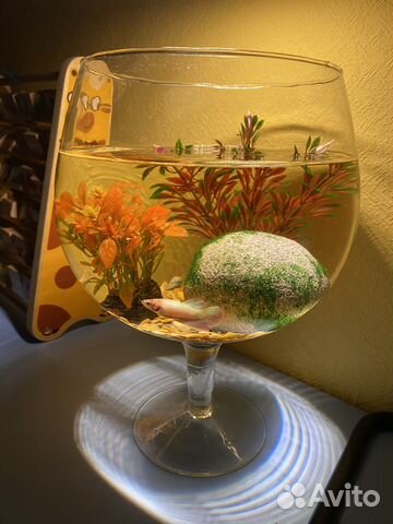 Аквариум полный комплект