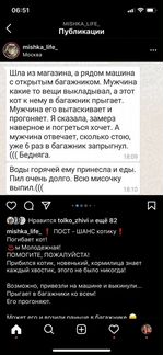 Домашнего кота выкинули на улицу
