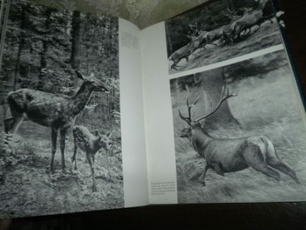Охота Jaegerliv Hajek 1965 Фотоальбом Чехословакия