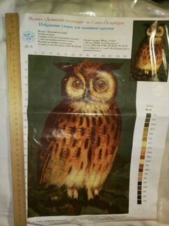 Вышивки крестиком новые