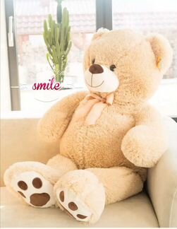 Плюшевый медведь