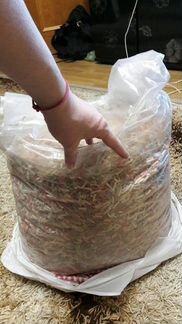 Корм для крупных рыб