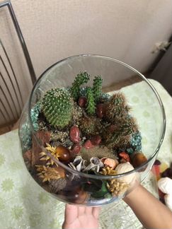 Флорариум в рюмке