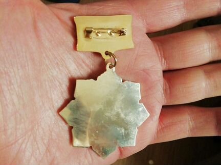 Медаль Космос