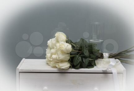 Розы белые крупные с Эквадора 11 шт Vendella