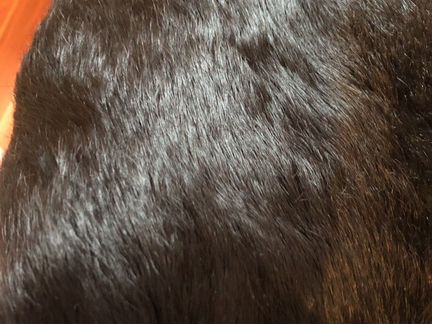 Шуба кролик с лисой