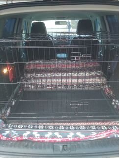 Отлов животных