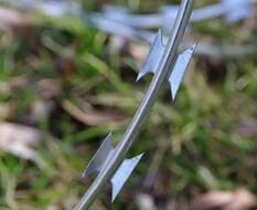 Колючая проволока Егоза