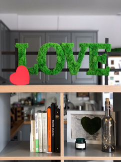 Буквы Love из стабилизированного мха в стиле loft
