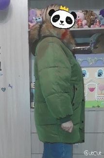 Пуховик. Новый